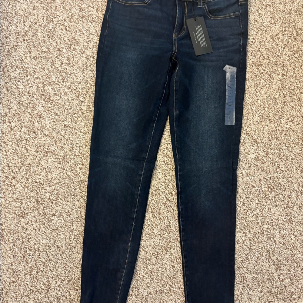 American Eagle Outfitters Dark Indigo Skinny Jeans